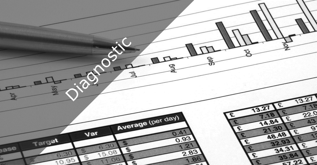 Get an unbiased review of your company to improve sales, profit and minimize risk